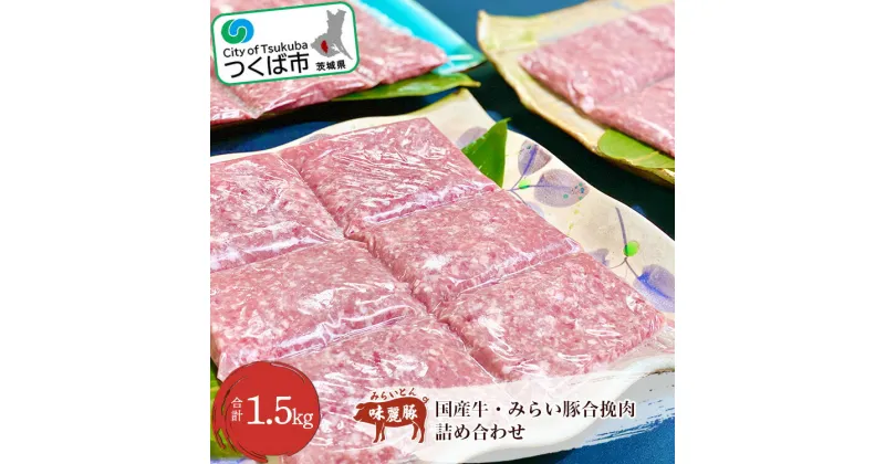 【ふるさと納税】村下商事シリーズ 国産牛・みらい豚合挽肉 1.5kg | 茨城県 つくば市 豚肉 豚 ぶた肉 ブランド豚 ブランド肉 高級 牛肉 牛 合い挽き ハンバーグ 肉団子 肉豆腐 冷凍 1115087