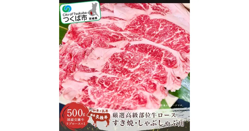 【ふるさと納税】厳選高級部位牛ロース(すき焼き・しゃぶしゃぶ用) 500g | 茨城県 つくば市 国産牛 厳選 高級部位 すき焼き しゃぶしゃぶ リブロース 赤身肉 霜降り 1115090