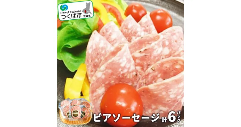 【ふるさと納税】ビアソーセージ 80g×6パック | 茨城県 つくば市 豚肉 豚 ぶた肉 ソーセージ ソフトサラミ風 ノンスモーク 1120086