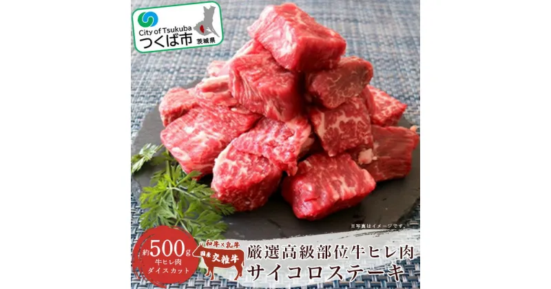 【ふるさと納税】村下商事シリーズ 厳選高級部位 牛ヒレ肉 サイコロステーキ 500g | 茨城県 つくば市 牛肉 厳選 高級部位 焼肉 肉質 上質 ジューシー肉 牛ヒレ肉 牛 ヒレ サイコロス テーキ ジューシー 肉の女王 旨味 高品質 ギフト 1124500