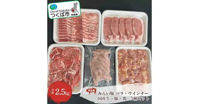 【ふるさと納税】村下商事シリーズ バラエティパック (牛・豚・鶏・ウインナー) 2.5kg | 茨城県 つくば市 BBQ 肉 焼肉 国産牛 牛肉 豚肉 鶏肉 お寄せ 国産 人気商品 ギフト お得 家庭用 グルメ ロース バラ 切り落とし 1317578