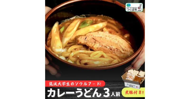 【ふるさと納税】筑波大学生のソウルフード！ZEYO.のカレーうどん 3人前(煮豚付き) | 茨城県 つくば市 簡単 レトルト 豚肉 お家ごはん おいしい 国内製造 大学生考案 中太平打うどん スパイス カレースープ 1256266