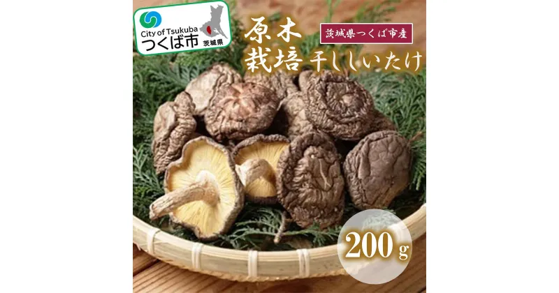 【ふるさと納税】干ししいたけ(原木栽培) 200g | 茨城県 つくば市 シイタケ しいたけ 椎茸 きのこ キノコ 茸 干ししいたけ 乾し椎茸 原木栽培 乾物 健康食品 食材 保存期間の長い食材 食物繊維 ビタミン ミネラル 1013579