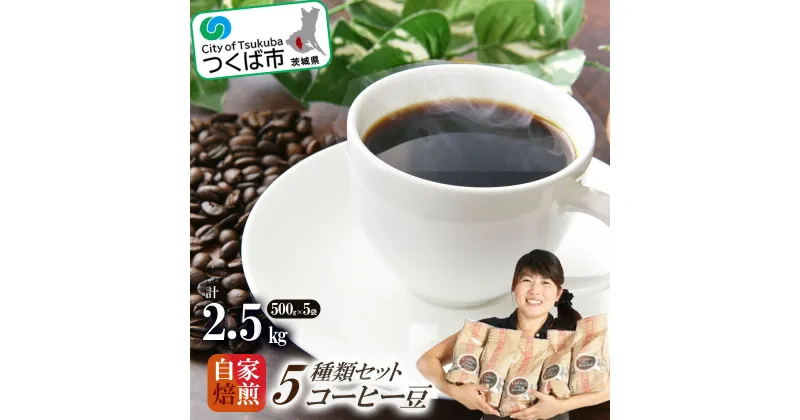 【ふるさと納税】＜自家焙煎珈琲豆＞コーヒー豆5種類セット 500g×5袋　計2500g | 茨城県 つくば市 coffee コーヒー 珈琲 飲み比べ コーヒーセット コーヒー豆 ブレンド ギフト セット ギフトセット 贈り物 プレゼント 祝い お祝い