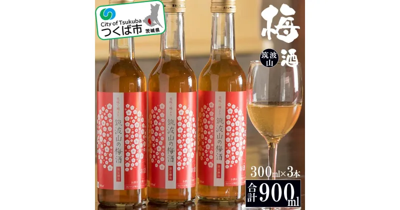 【ふるさと納税】筑波山の梅酒3本セット(300ml×3) | 茨城県 つくば市 酒 梅酒 アルコール おさけ 地酒 酒造り 地元の酒蔵 ブランド酒 地元産 芳醇な香り レストラン 1013567