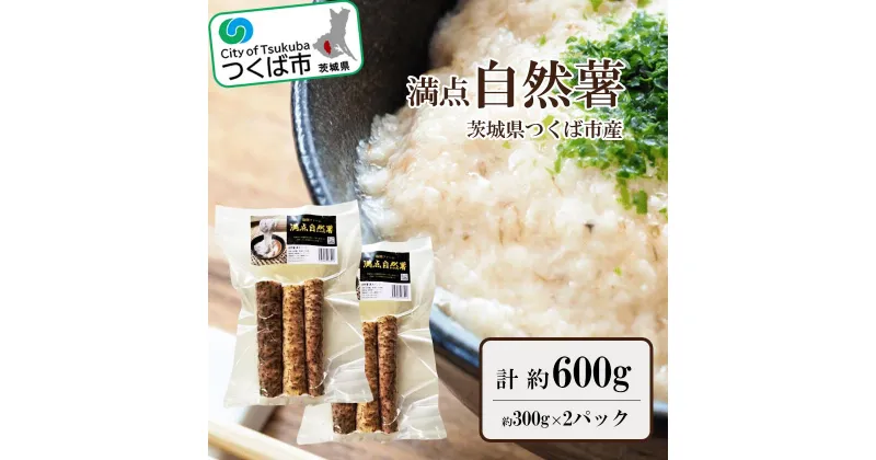 【ふるさと納税】満点自然薯　約300g真空パック(2袋) | 茨城県 つくば市 とろろ じねんじょ 山芋 健康食品 山菜 栄養豊富 ヘルシー ナ チュラルフード スーパーフード 地元の味 地元産