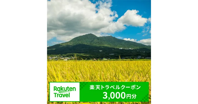 【ふるさと納税】茨城県つくば市の対象施設で使える楽天トラベルクーポン　寄付額10,000円