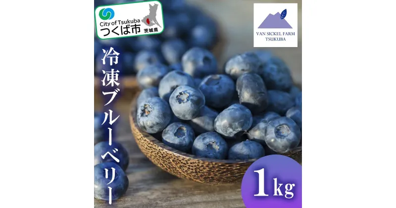 【ふるさと納税】茨城県つくば市産 冷凍ブルーベリー　1kg | 茨城県 つくば市 ブルーベリー 国産 ベリー スイーツ トッピング 栄養 ジャム 果実 果物 パンケーキ