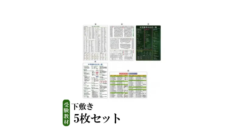 【ふるさと納税】 受験教材下敷き　5枚セット｜茨城県 つくば 下敷き 文房具 教材 ツール 高校受験 暗記 記憶 視覚 勉強 学習 受験 テスト 試験 隙間時間 中学生 理科 国語 数学 歴史 英語 5教科 セット フライング・エッグ 人気 おすすめ