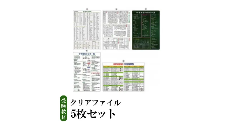 【ふるさと納税】 受験教材　クリアファイル5枚｜茨城県 つくば クリアファイル 文房具 教材 ツール 高校受験 暗記 記憶 視覚 勉強 学習 受験 テスト 試験 隙間時間 中学生 理科 国語 数学 歴史 英語 5教科 セット フライング・エッグ 人気 おすすめ