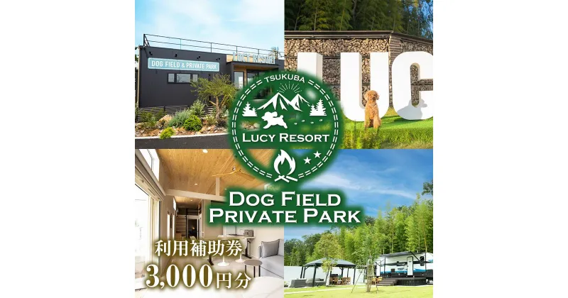 【ふるさと納税】LUCY RESORT(ルーシーリゾート)利用補助券　3,000円分 | 茨城県 つくば市 体験 チケット ドッグラン BBQ バーベキュー グランピング ペット 宿泊