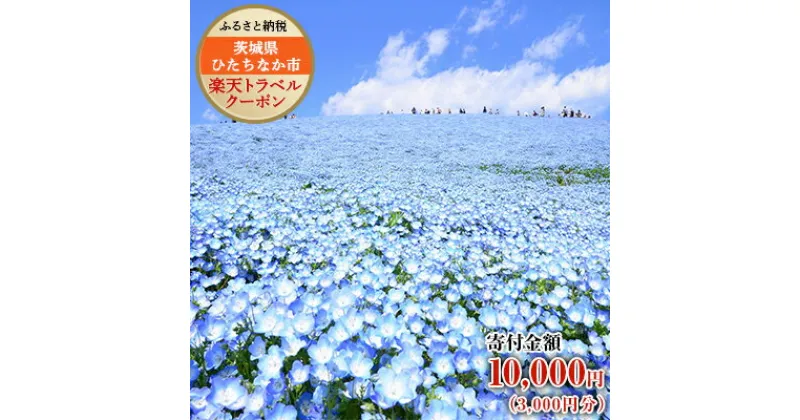 【ふるさと納税】茨城県ひたちなか市の対象施設で使える楽天トラベルクーポン寄付額10,000円