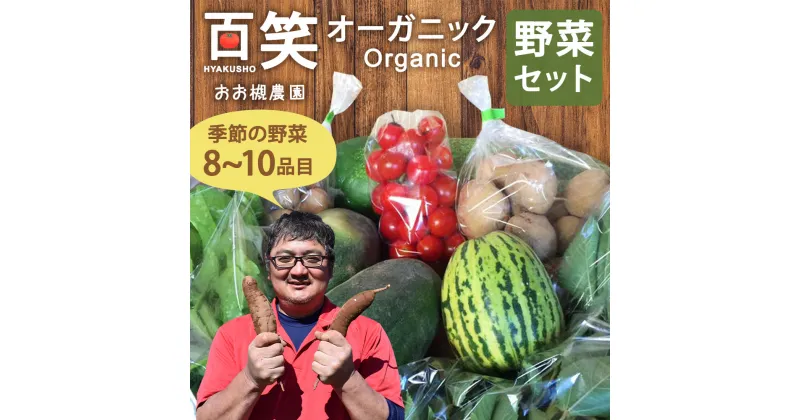 【ふるさと納税】百笑オーガニック野菜セット（8〜10品目）自然栽培野菜 野菜 セット 詰め合わせ 茨城県 鹿嶋市 送料無料（KAG-1）