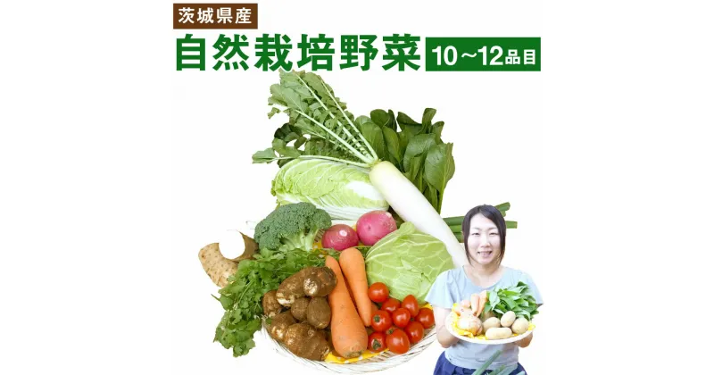 【ふるさと納税】 自然栽培 野菜 10〜12品目 野菜 季節の野菜 旬 自然栽培(栽培期間 農薬不使用 ) 詰め合わせ セット 茨城県産 国産 送料無料 野菜 産地直送（KBE-1）