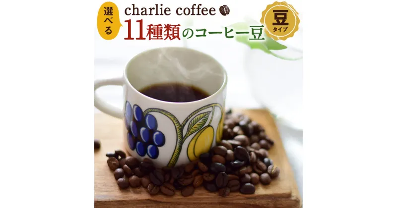 【ふるさと納税】KV 選べる11種類 コーヒー豆 11種 豆 珈琲 チャーリーコーヒー charlie coffee 鹿嶋市 茨城県 国産 送料無料