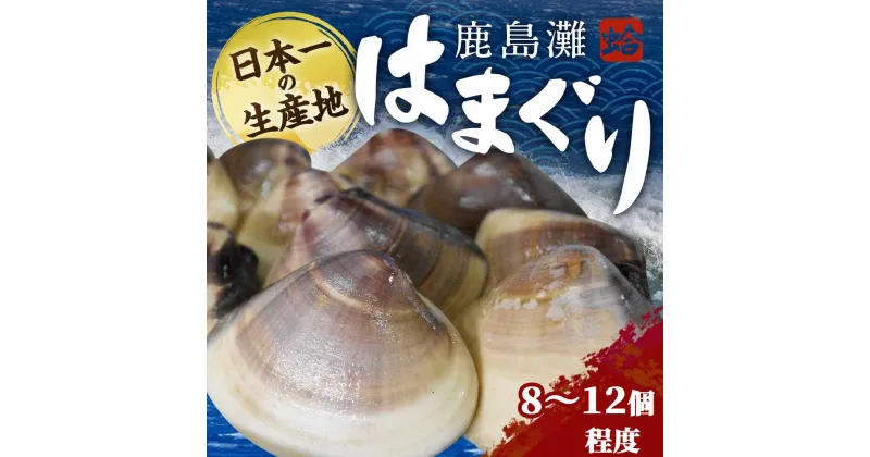 【ふるさと納税】鹿島灘はまぐり　蛤　はまぐり　ハマグリ　海産物　海鮮　産地直送　送料無料　バーベキュー　肉厚　大粒　（KM-2）