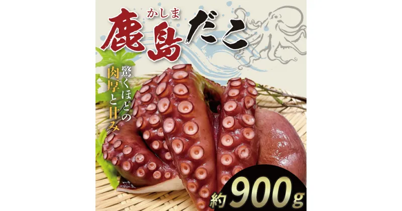 【ふるさと納税】鹿島だこ　蛸　たこ　タコ　海鮮　バーベキュー　産地直送　送料無料　ギフト　贈り物（KM-9）