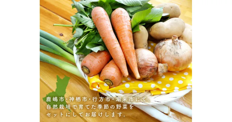 【ふるさと納税】【栽培期間農薬不使用】お米と季節の野菜（4～5品）のセット 【おいしい ごはん やさい セット グルメ 無農薬】（KBE-8）