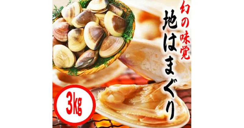 【ふるさと納税】鹿島灘特産★ブランド地はまぐり（超特盛 3kg ） BBQ 貝類 海鮮 海産物 はまぐり 蛤 ハマグリ 特盛 人気 ブランド 特産 鹿島灘 鹿嶋市 茨城県 送料無料 産地直送 30000 三万円 （KBL-6）