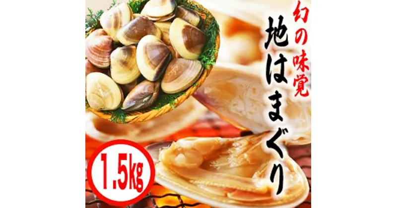 【ふるさと納税】鹿島灘特産★ブランド地はまぐり（中盛り 1.5kg ） BBQ 貝類 海鮮 海産物 はまぐり 蛤 ハマグリ 特盛 人気 ブランド 特産 鹿島灘 鹿嶋市 茨城県 送料無料 産地直送 （KBL-4）