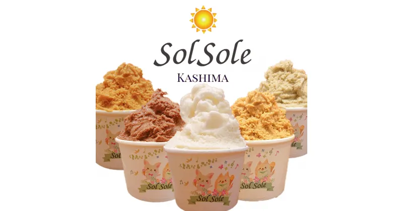 【ふるさと納税】Sol soleのジェラート6種 6個入り 無添加　ジェラート スイーツ デザート 鹿嶋市　アイス 送料無料（KBM-1）