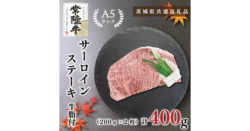 【ふるさと納税】【茨城県共通返礼品】【常陸牛A5ランク】サーロインステーキ　400g（200g×2枚）(KCK-1)