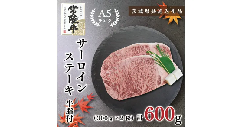 【ふるさと納税】【茨城県共通返礼品】【常陸牛A5ランク】サーロインステーキ　600g（300g×2枚）(KCK-2)