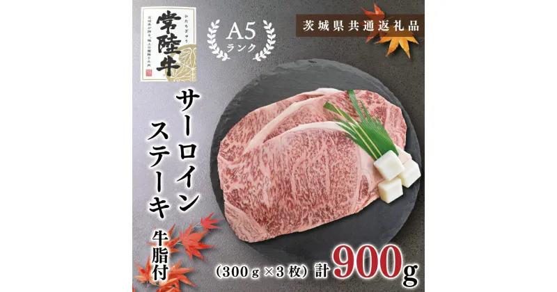 【ふるさと納税】【茨城県共通返礼品】【常陸牛A5ランク】サーロインステーキ　900g（300g×3枚）(KCK-3)