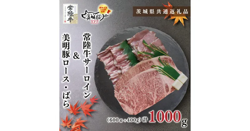 【ふるさと納税】【茨城県共通返礼品】【常陸牛A5ランク・美明豚ステーキ焼肉セット】常陸牛サーロイン600g（300g×2枚）＋美明豚400g（ロース200g・ばら200g）（KCK-35）