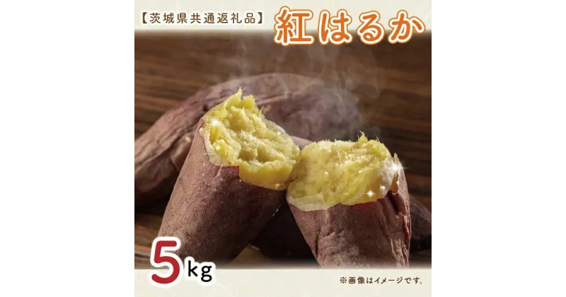 【ふるさと納税】【先行予約】【茨城県共通返礼品】さつまいも　紅はるか 5kg（水戸市・ひたちなか市・鹿嶋市・行方市・大洗町産）ほくほく お芋 蜜入り サツマイモ 焼き芋 大学芋 ほっくり 美味しい 干し芋 おすすめ（KCM-4）