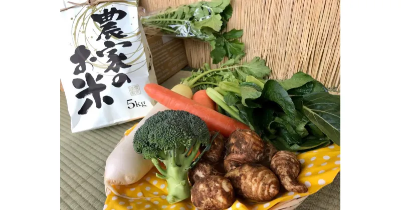 【ふるさと納税】【栽培期間農薬不使用】お米と野菜セット 【おいしい ごはん やさい セット グルメ 無農薬】（KBE-22）