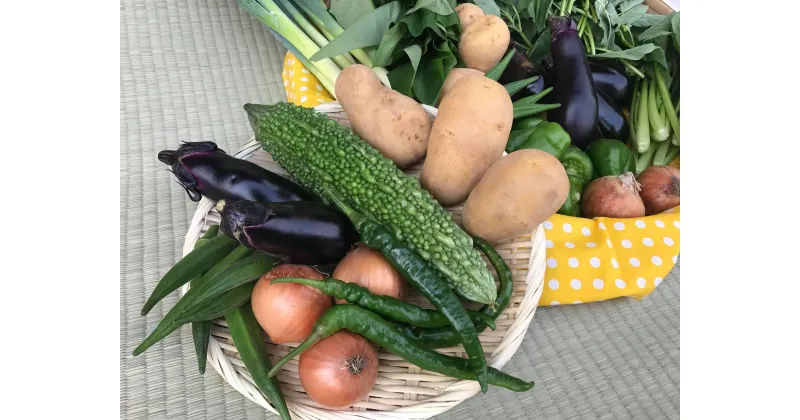 【ふるさと納税】【栽培期間 農薬不使用】季節の野菜ハーフセット 自然栽培 野菜 セット 詰め合わせ 茨城県 送料無料（KBE-24）