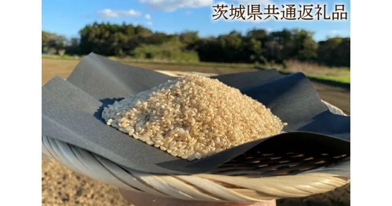 【ふるさと納税】【できるだけ農薬を減らした】マキタ超こしひかり 玄米5kg【茨城県共通返礼品・行方市産】【おいしい お米 マキタ 減農薬 安心 げんまい 15000円以下 鹿嶋市】（KBE-26）