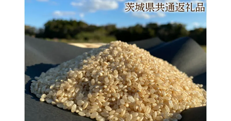 【ふるさと納税】【栽培期間農薬不使用】マキタ超こしひかり 玄米5kg【茨城県共通返礼品・行方市産】【おいしい お米 マキタ 減農薬 安心 鹿嶋市】（KBE-42）