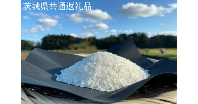 【ふるさと納税】【栽培期間農薬不使用】マキタ超こしひかり 白米10kg【茨城県共通返礼品・行方市産】【おいしい お米 マキタ 減農薬 安心 鹿嶋市】（KBE-54）