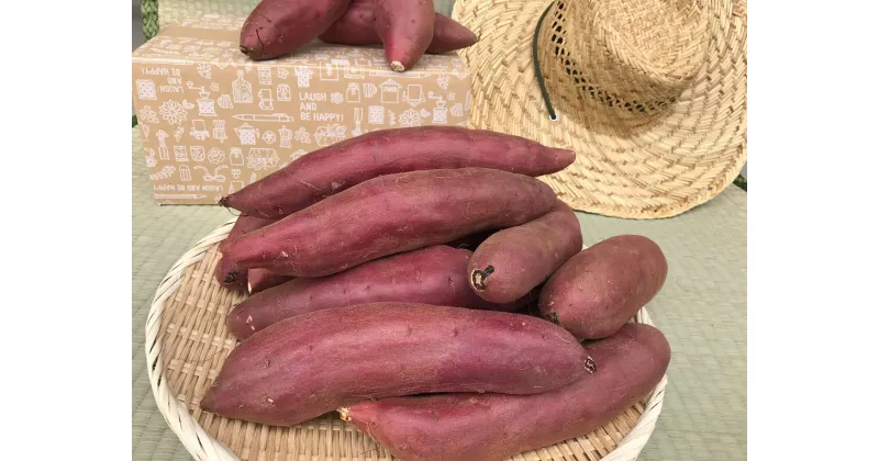 【ふるさと納税】焼き芋好きのためのさつま芋　紅はるか5kg【茨城県共通返礼品・行方市産】 送料無料 焼芋 焼き芋 焼きいも やきいも さつまいも 紅はるか 期間限定 常温発送 行方市 行方台地（KBE-58）