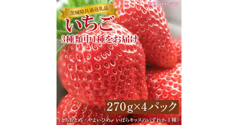 【ふるさと納税】【先行予約】【1月中旬～3月中旬発送】【茨城県共通返礼品】いちご（とちおとめ・やよいひめ・いばらキッスのいずれか1種）270g×4パック　KCM-11