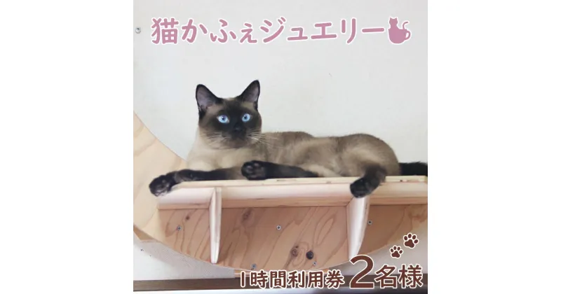 【ふるさと納税】鹿嶋市の癒しの空間　猫カフェでまったり　猫かふぇジュエリー　1時間利用券セット　2名様 （KCS-2）