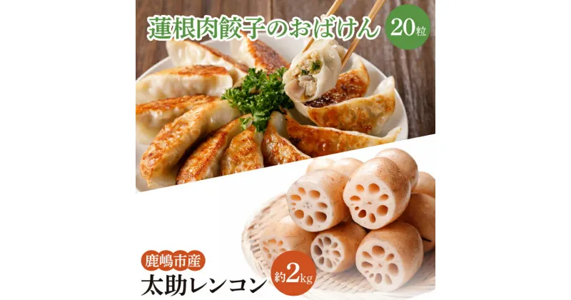 【ふるさと納税】【セット販売】太助レンコン&蓮根肉餃子のおばけん 【2kg&20粒】【野菜 ギョーザ れんこん しゃきしゃき おいしい 食べきり 茨城県 鹿嶋市】（KBU-4）