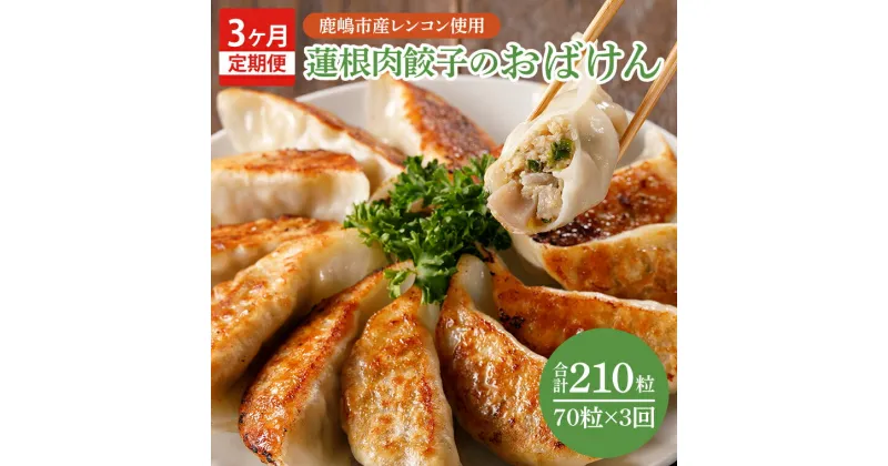 【ふるさと納税】【3ヶ月定期便】蓮根肉餃子のおばけん【70粒×3回】【野菜 ギョーザ れんこん しゃきしゃき おいしい ストック 茨城県 鹿嶋市】（KBU-10）