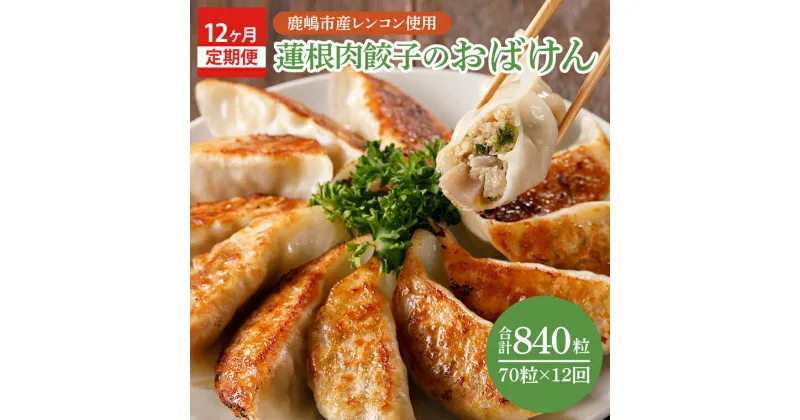 【ふるさと納税】【12ヶ月定期便】蓮根肉餃子のおばけん【70粒×12回】【野菜 ギョーザ れんこん しゃきしゃき おいしい ストック 茨城県 鹿嶋市】（KBU-12）