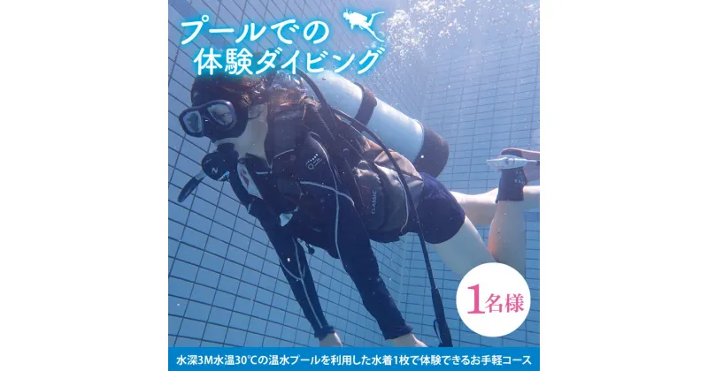 【ふるさと納税】プールでの体験ダイビング（1名）【水中 夏 アクティビティ プール 温水プール ダイビング スポーツ お手軽 体験 マリブ 茨城県 鹿嶋市】（KDA-1）