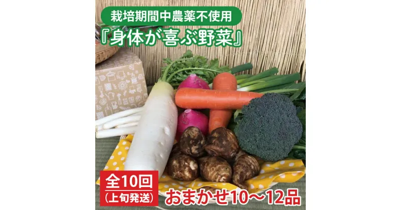 【ふるさと納税】【発送月固定定期便】栽培期間中農薬不使用『身体が喜ぶ野菜』おまかせ10～12品（上旬発送）全10回 【新鮮 やさい ベジタブル 安心 安全 おいしい ランダム】（KBE-60A）