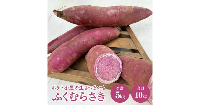 【ふるさと納税】【選べる内容量】ポテト小屋の生さつまいも 【ふくむらさき】 【鹿嶋市 減農薬 サツマイモ 紫いも 甘い アントシアニン 抗酸化作用 老化予防効果 5キロ 10キロ 15000円以下】 (KBR-8)