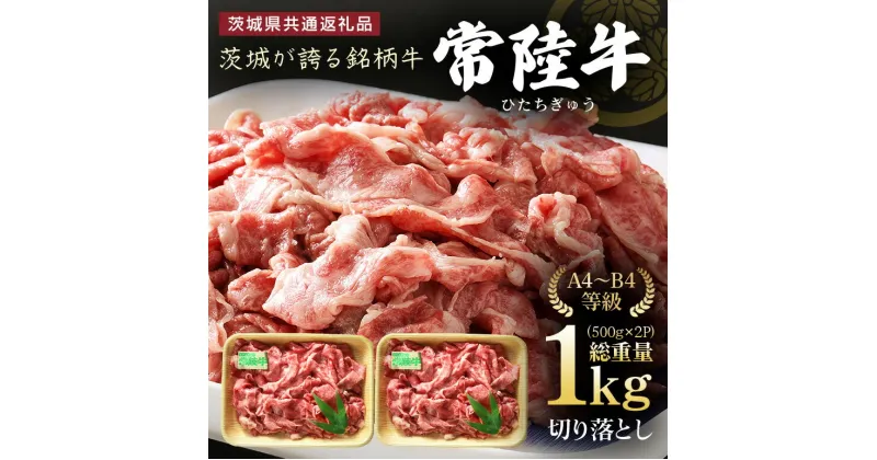 【ふるさと納税】 茨城県産 常陸牛 (ひたちぎゅう) 1kg 切り落とし (茨城県共通返礼品)_ 牛肉 お肉 肉 焼肉 すき焼き ブランド牛 人気 美味しい 小分け 【配送不可地域：離島】【1056458】