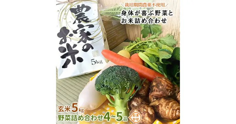 【ふるさと納税】新米【玄米5kg】栽培期間農薬不使用『身体が喜ぶ野菜とお米』詰め合わせ(おまかせ)潮来はぐくみのもり【配送不可地域：離島】【1068675】