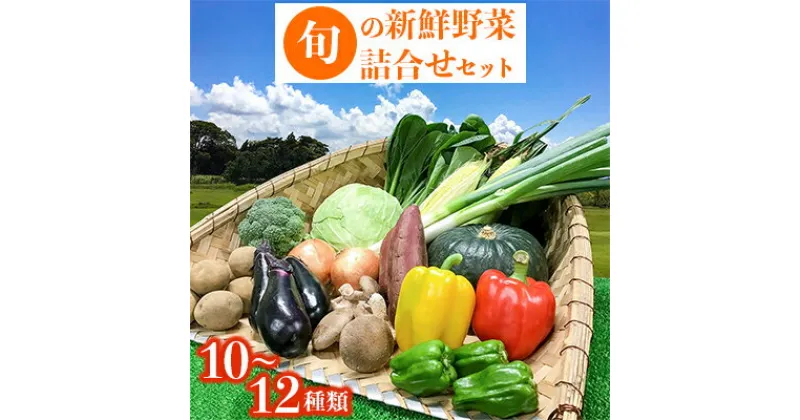 【ふるさと納税】旬の新鮮野菜詰合せセット【配送不可地域：離島】【1239636】