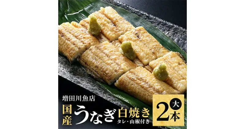 【ふるさと納税】増田川魚店のうなぎ白焼【大2本】【配送不可地域：離島・沖縄県】【1306261】