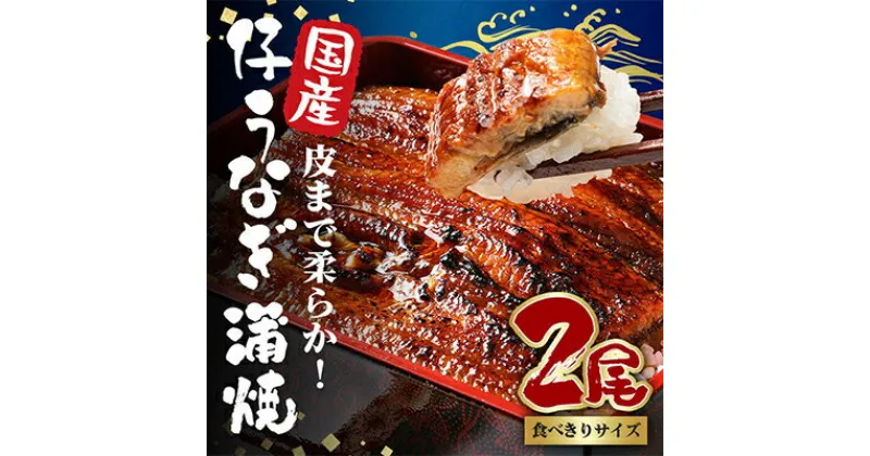 【ふるさと納税】国内産やわらか新仔うなぎ蒲焼2尾　合計200〜220g(食べ切りサイズ)【配送不可地域：離島】【1329497】