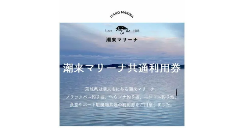 【ふるさと納税】潮来マリーナ　施設内共通10,000円分利用券【1487102】